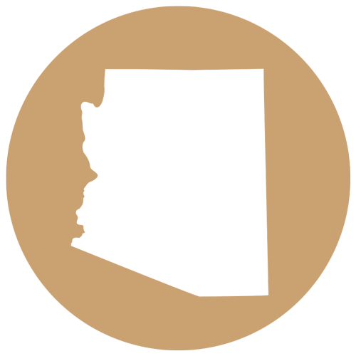 Arizona State Vector